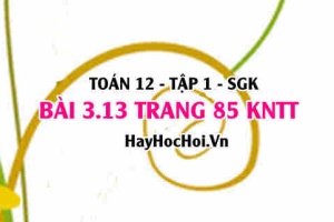 Bài 3.13 trang 85 Toán 12 tập 1 Kết nối tri thức